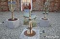 VBS_7657 - Mostra della Ceramica di Castellamonte 2021
